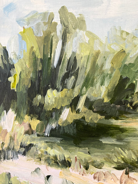 Gator Pond image 1