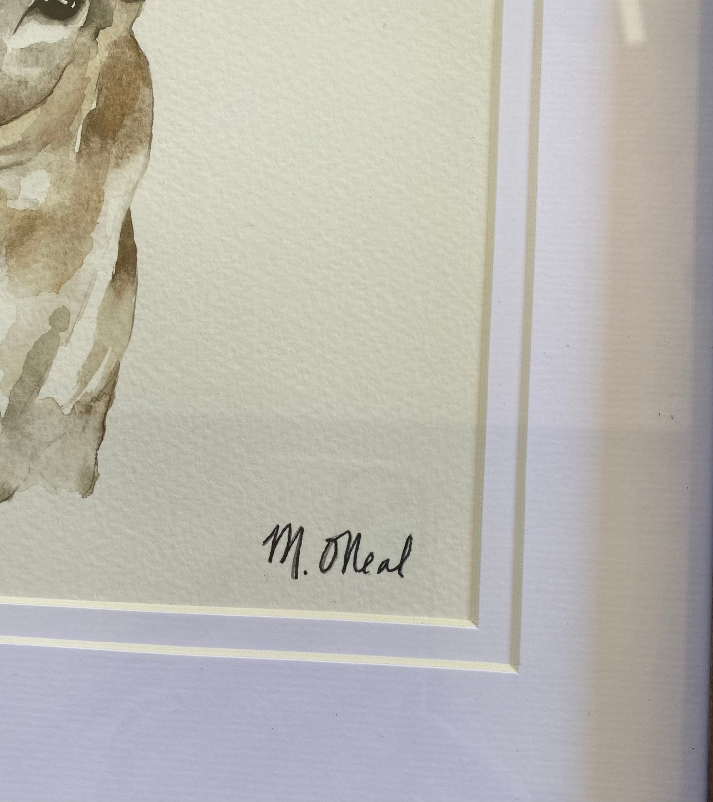 Whitetail Deer - framed watercolor image 4