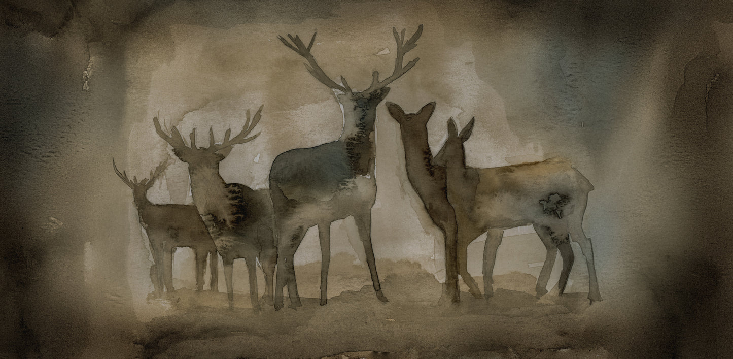 Quiet Company - Stretched Gallery Canvas