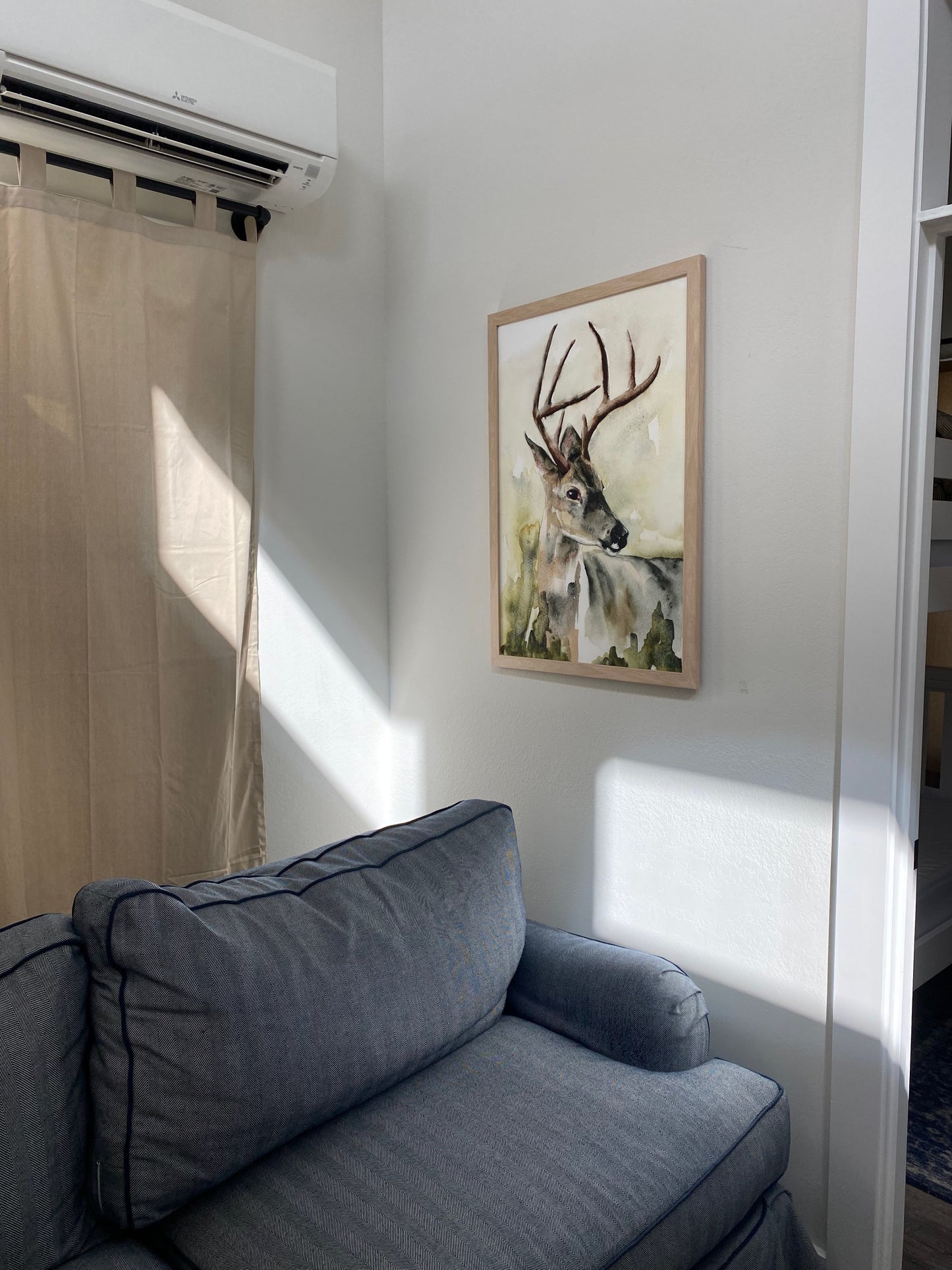 Whitetail Deer image 3