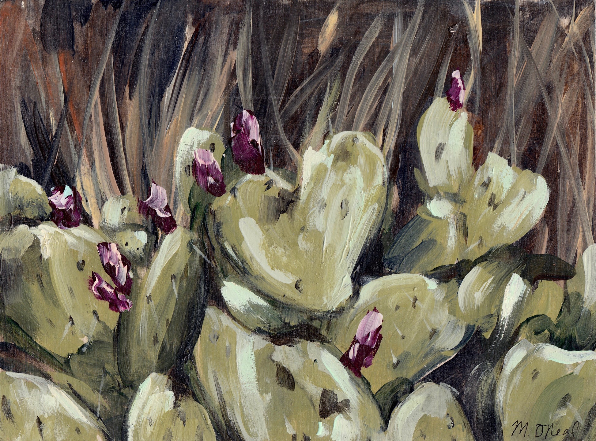 Prickly Pear Cactus image 0