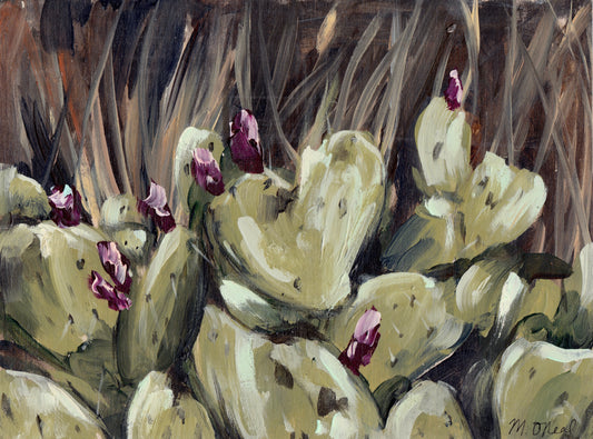 Prickly Pear Cactus image 0