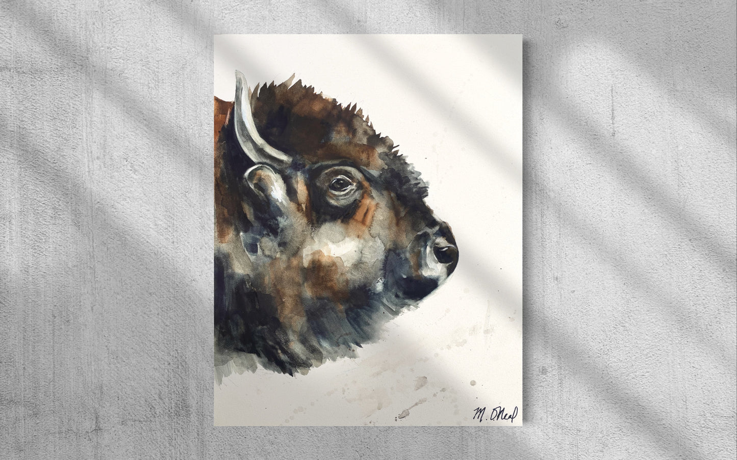 Bison Portrait image 3