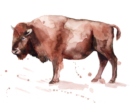 Tatanka #8 image 0