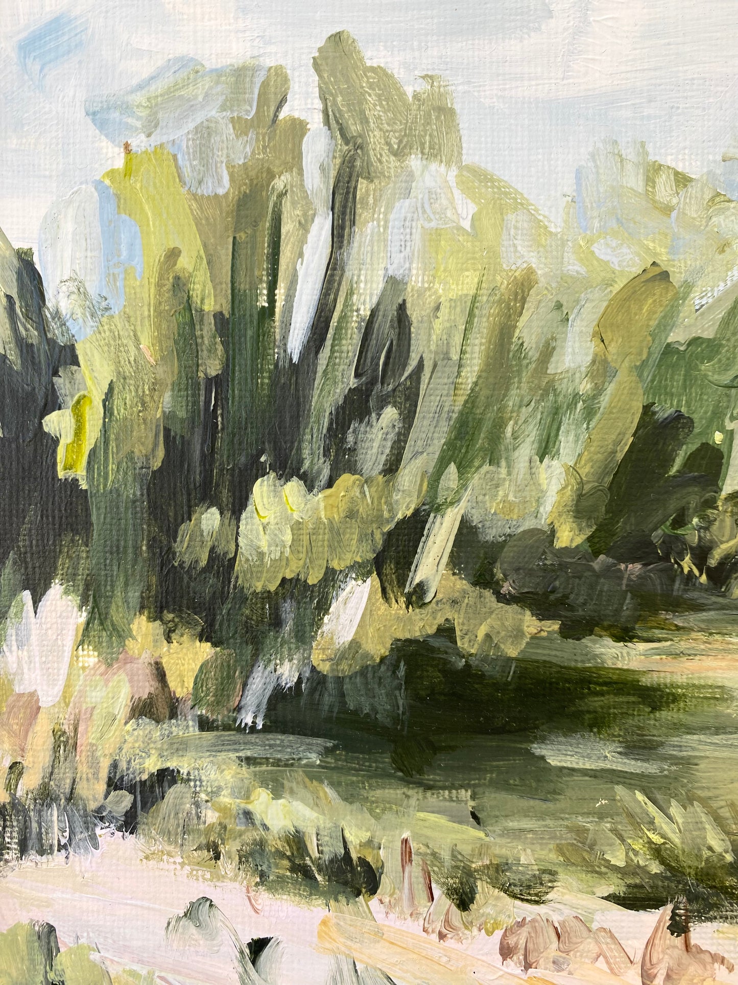 Gator Pond image 1