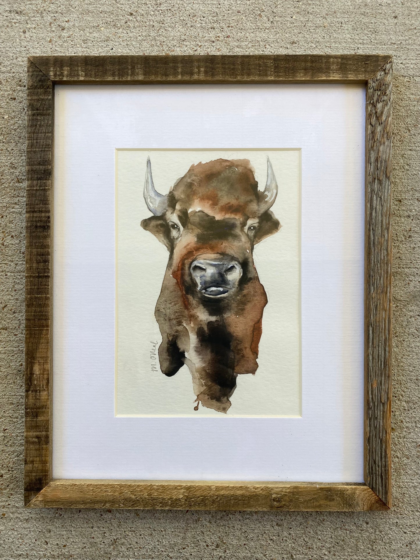Bison Head #2 image 0