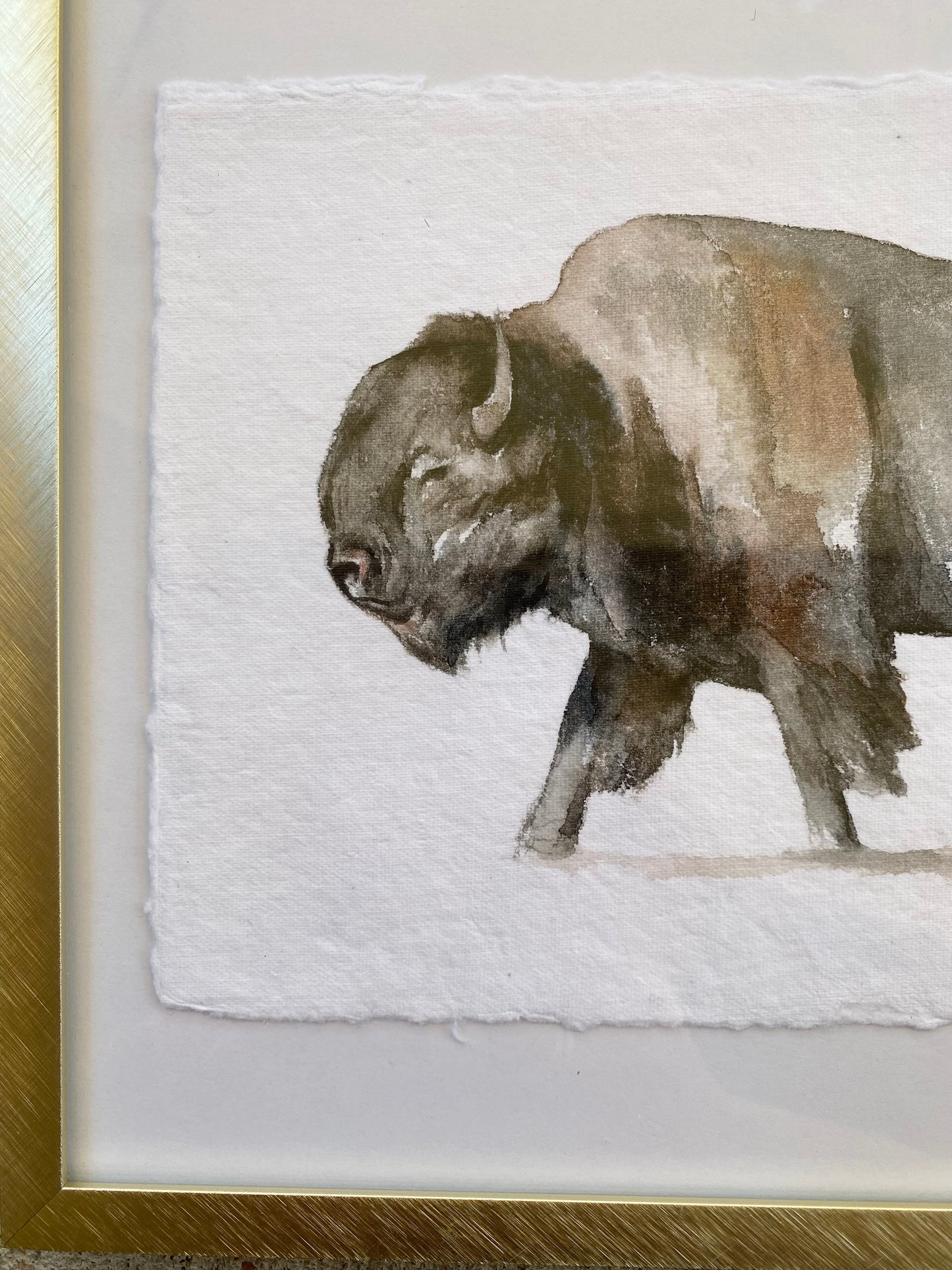 Bison #3 image 2