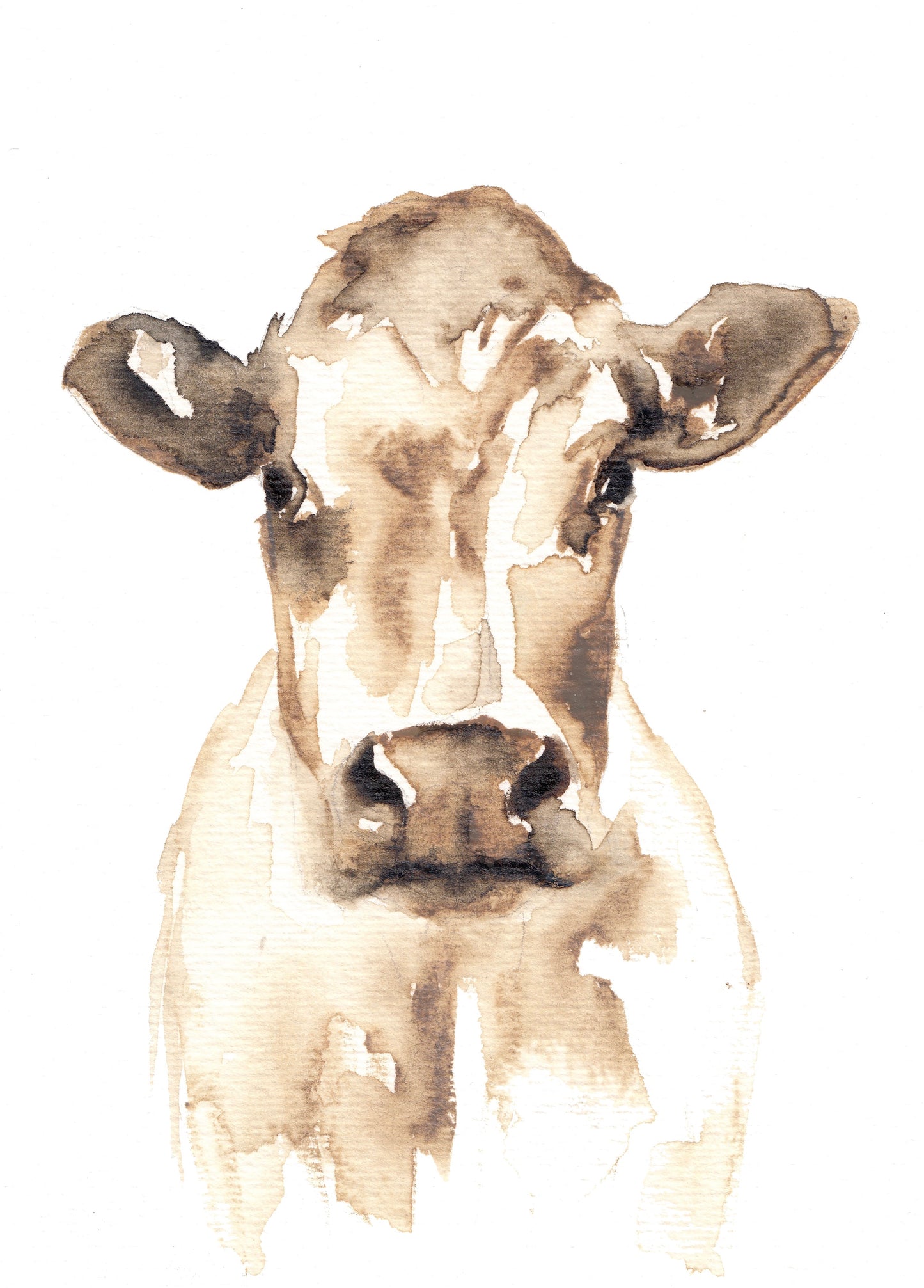 Cow Face image 0