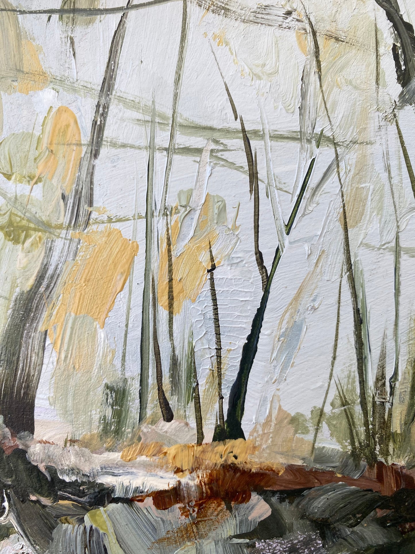Bedias Creek image 2
