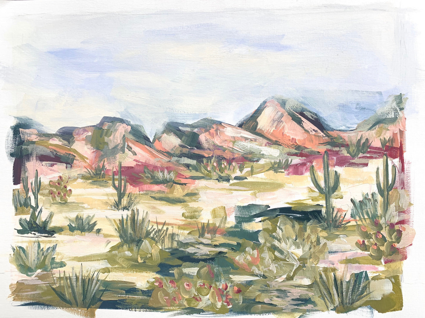 Pink Desert image 0