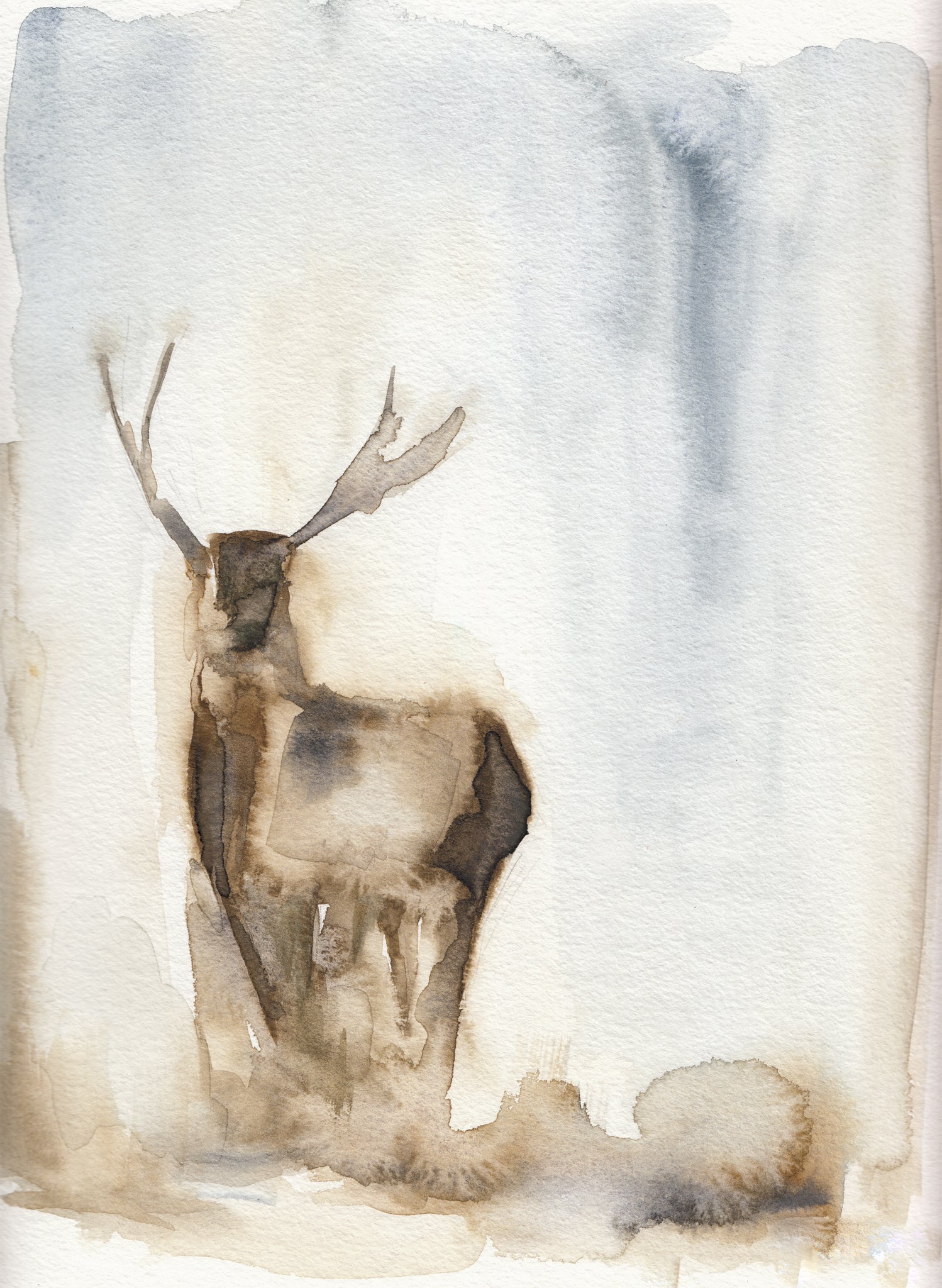Deer in the Fog image 0
