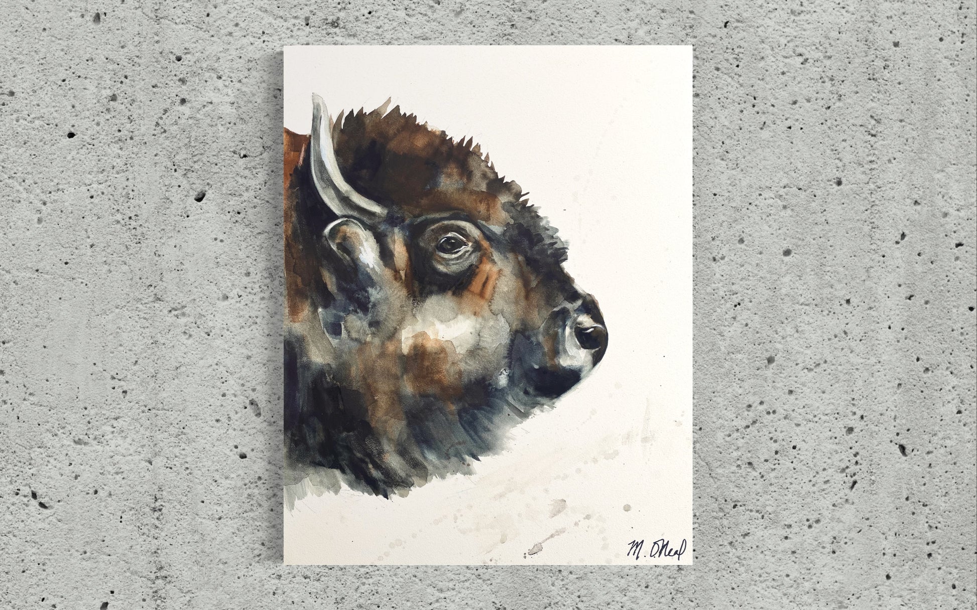 Bison Portrait image 0