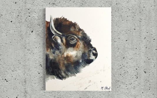Bison Portrait image 0