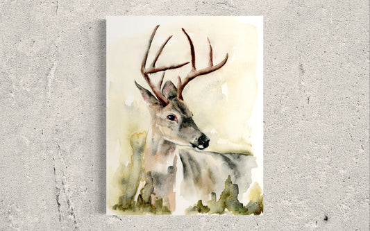Whitetail Deer image 0