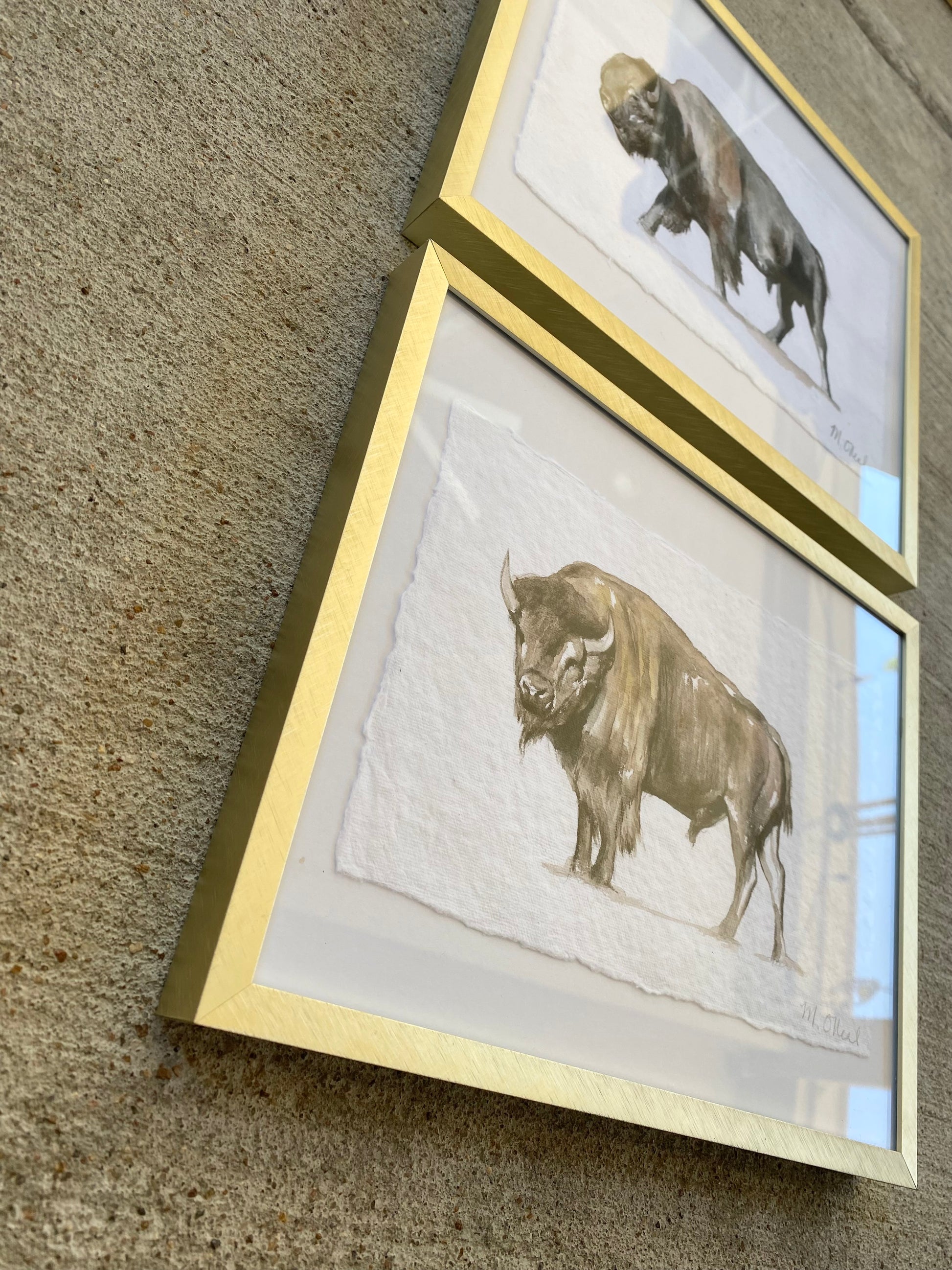 Bison #3 image 4