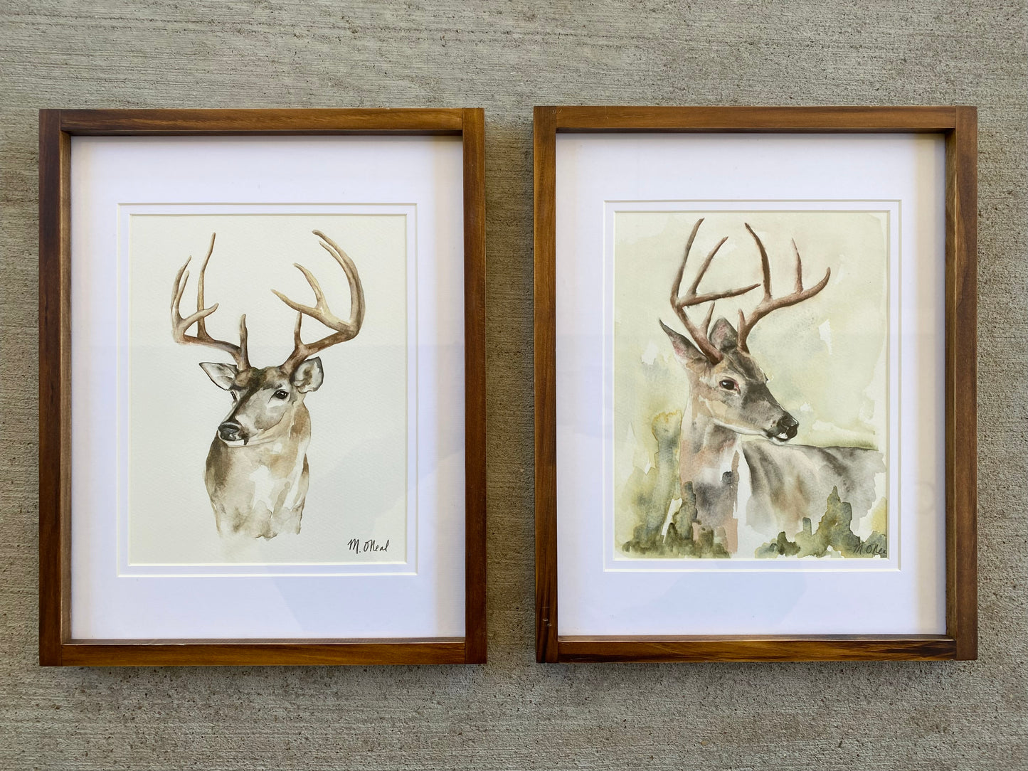 Whitetail Deer - framed watercolor image 1