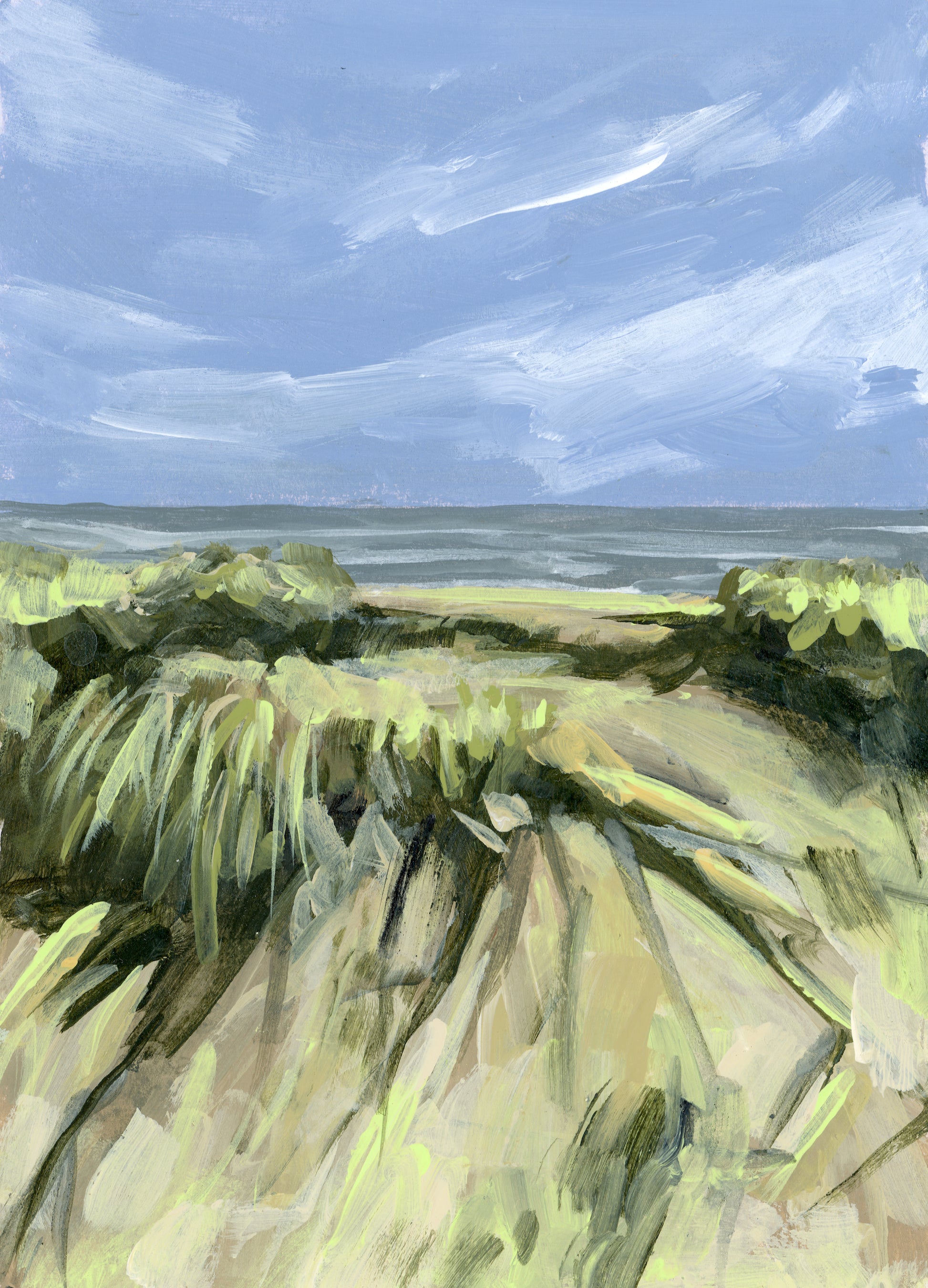untamed dunes image 0