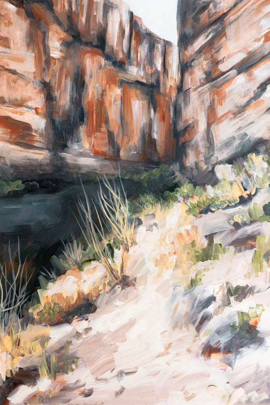 Santa Elena Canyon image 0