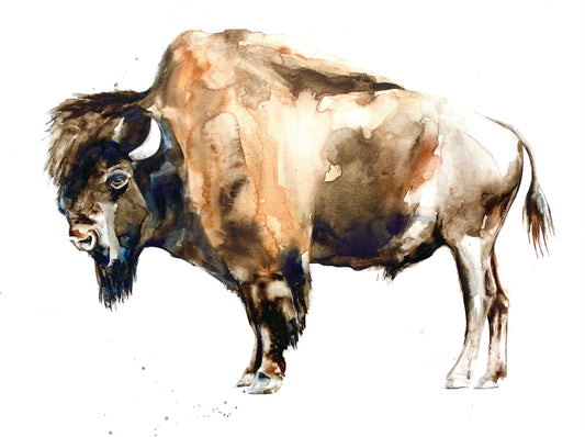 King of the Plains image 0