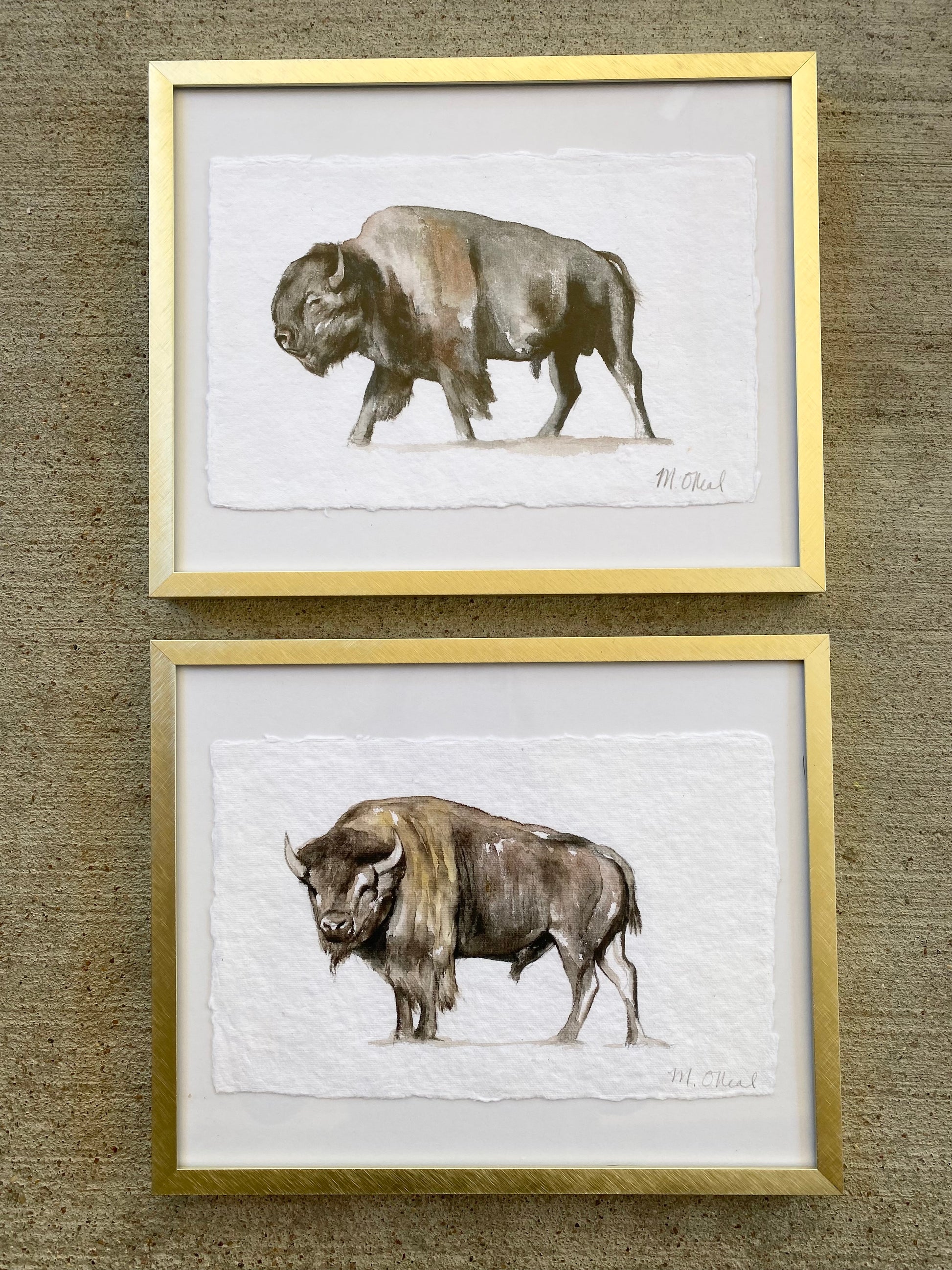 Bison #3 image 1