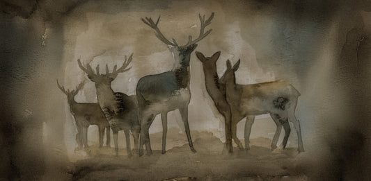 Quiet Company - Stretched Gallery Canvas