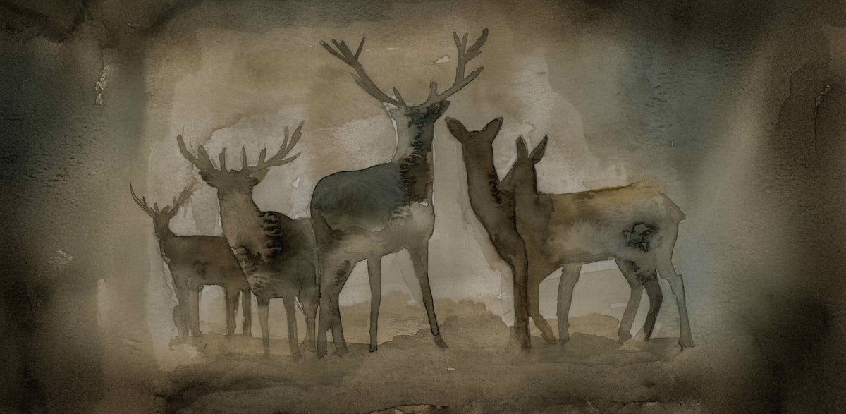 Quiet Company: Dusk