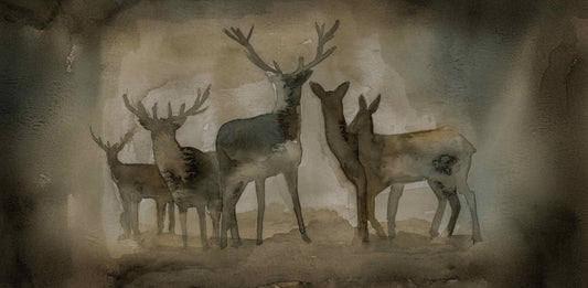Quiet Company: Dusk