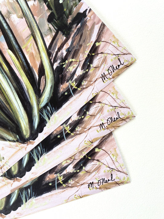 Boquillas Hot Springs (Horizontal)