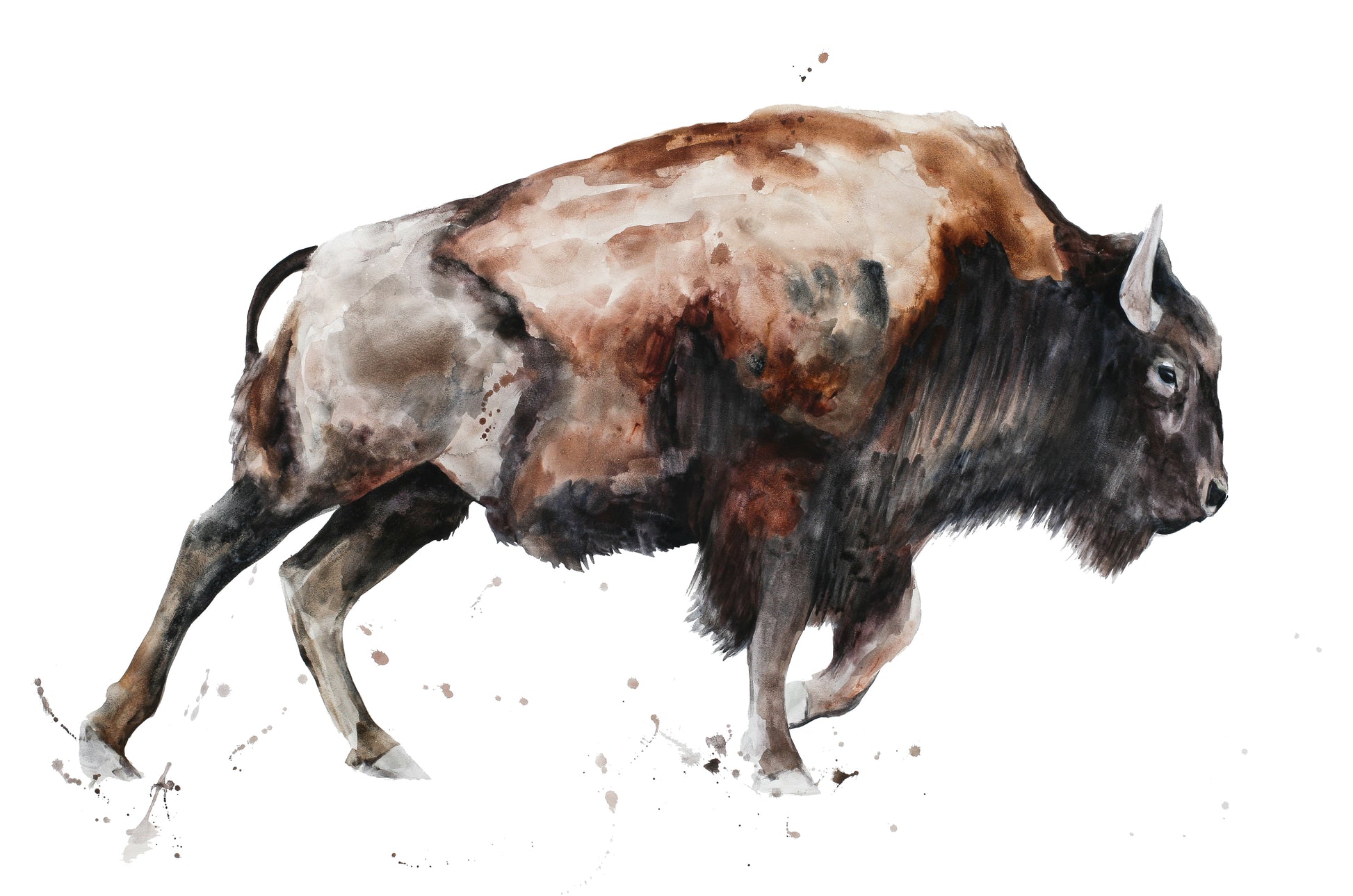 Tatanka #6 image 0