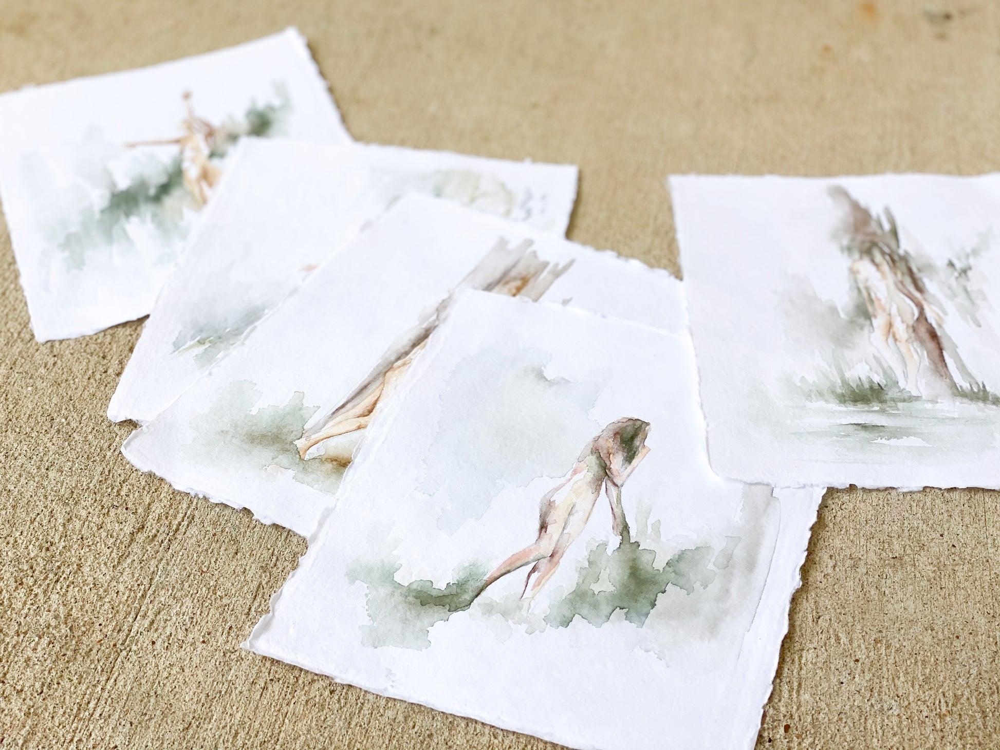 Emergence 2 image 3