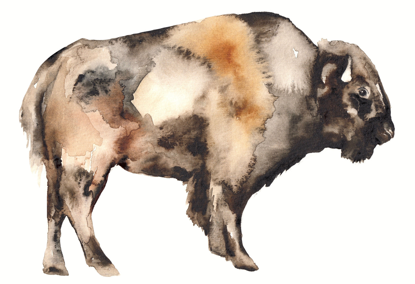 Tatanka #1 image 0