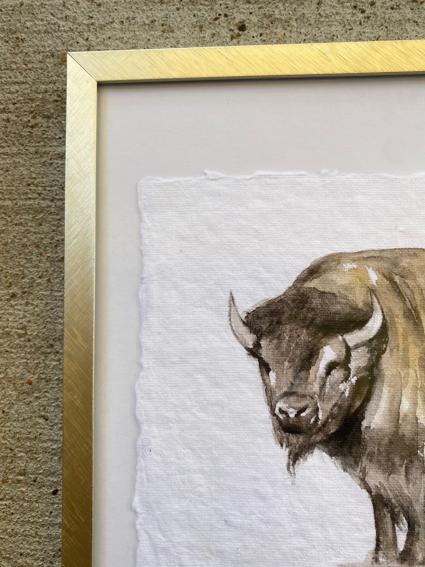 Bison #2 image 4