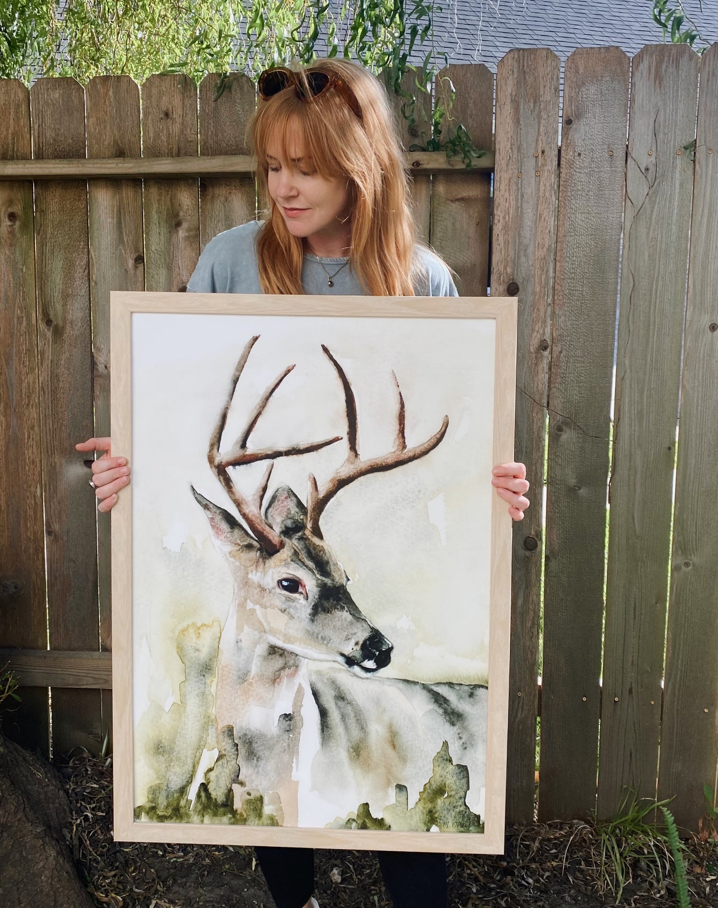 Whitetail Deer image 2