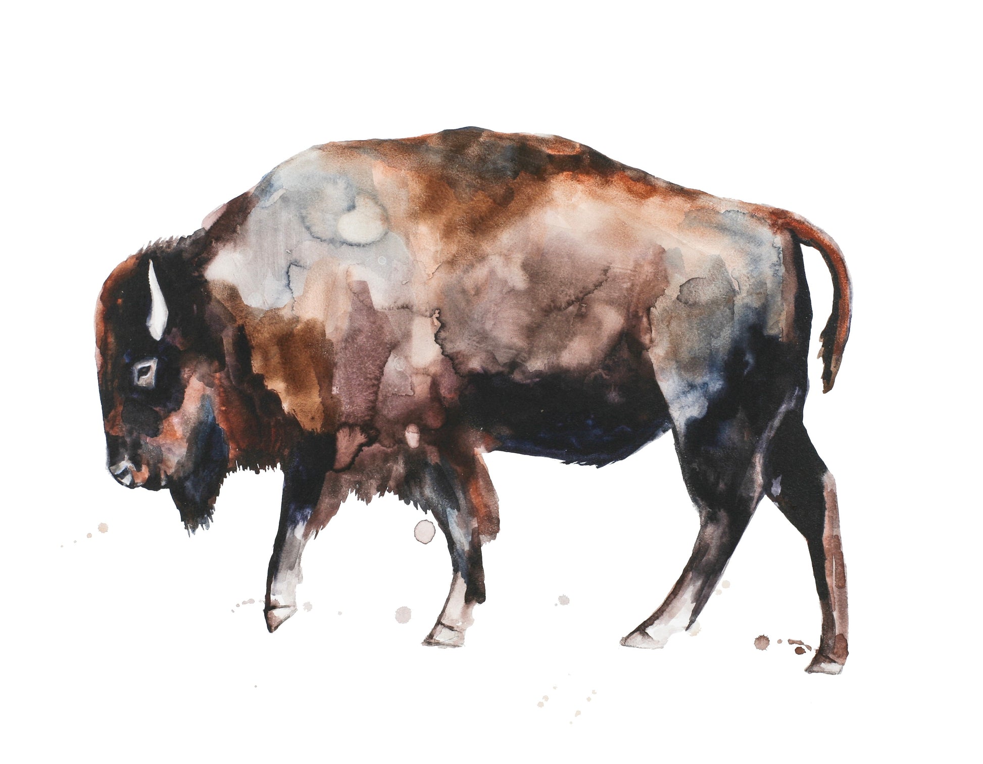 Tatanka #10 image 0