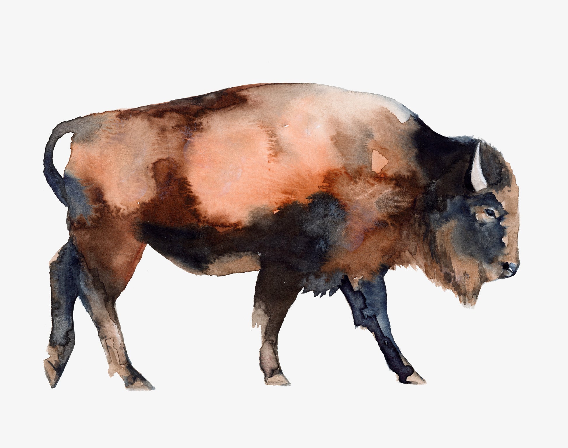 Tatanka #9 image 0