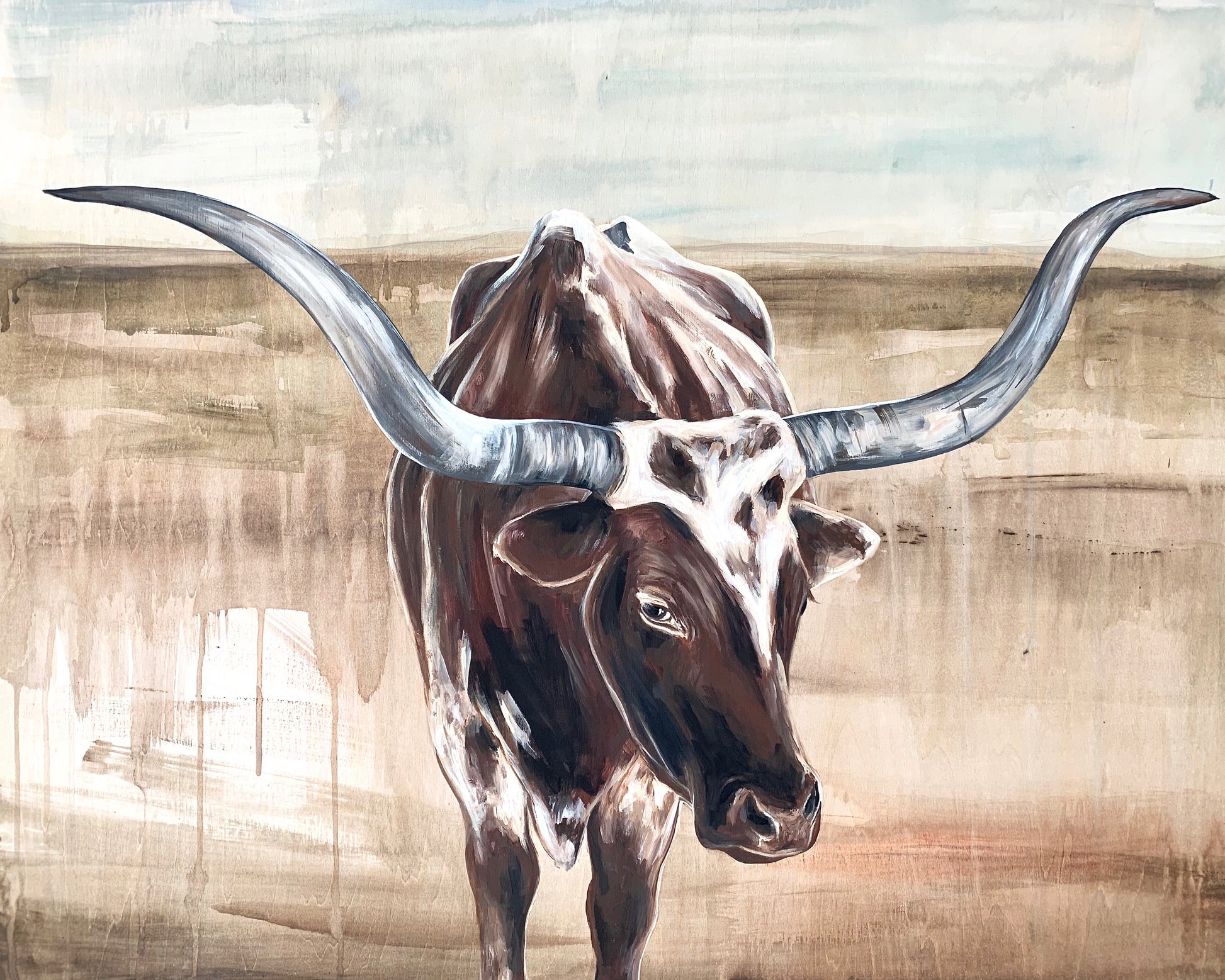 Longhorn image 0